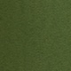 Moss