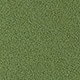 Moss
