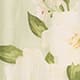 Spring Jasmine