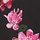 Dancing Blossom