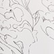 Fineline Bloom